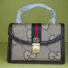 Saheer Gucci Bag