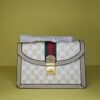Saheer Gucci Bag