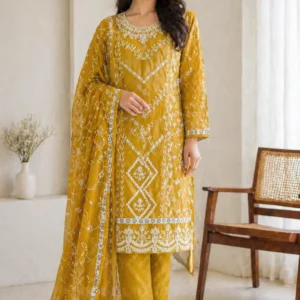 Alternative view of Trendy Pakistani Dresses for Women